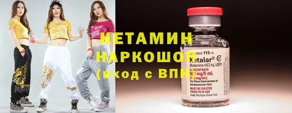 стафф Михайловск
