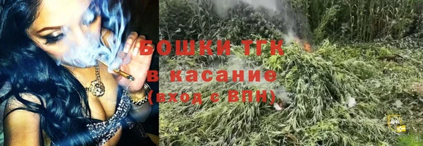 стафф Михайловск