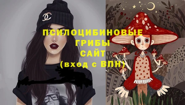 ешки Михайлов