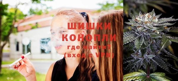 стафф Михайловск