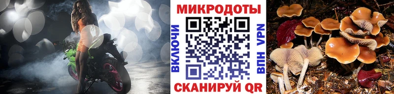 Псилоцибиновые грибы мухоморы  kraken как зайти  Долгопрудный  маркетплейс телеграм  сколько стоит 