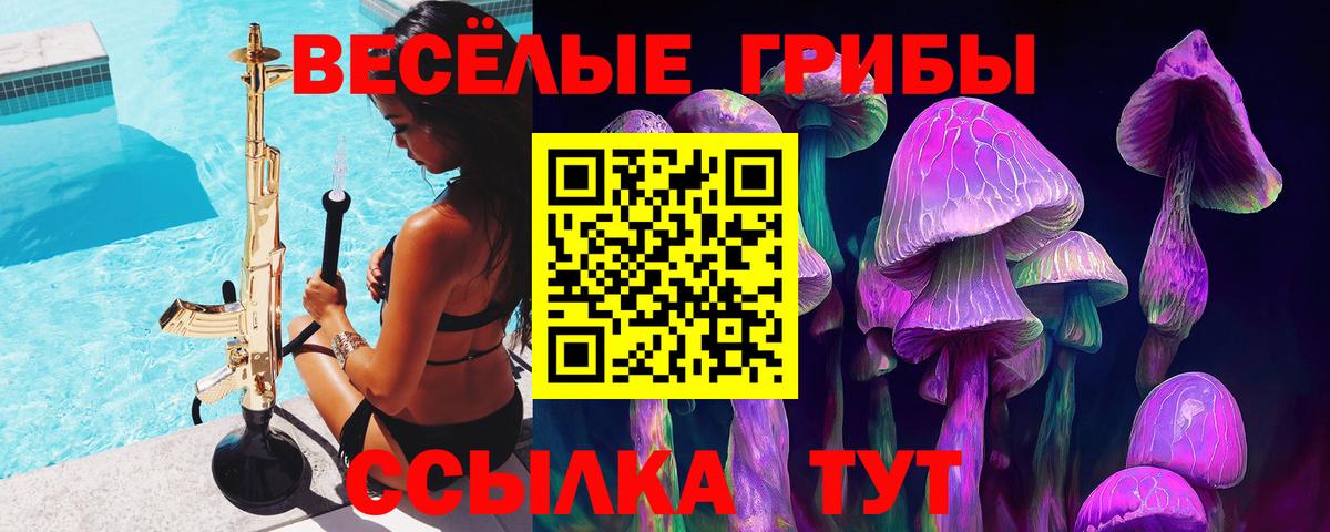 Долгопрудный  Псилоцибиновые грибы мухоморы  Псилоцибиновые грибы прущие грибы  Вход с VPN 
