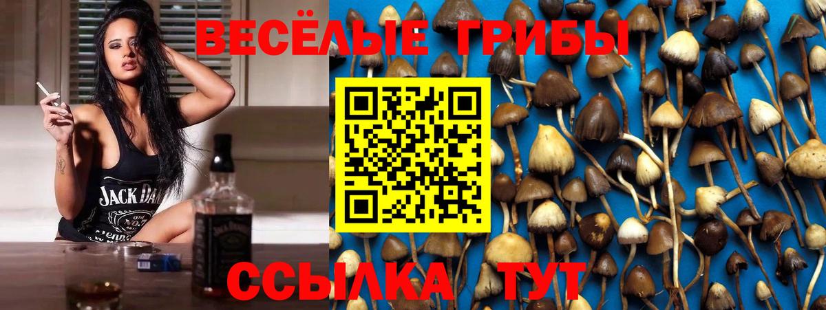 Галлюциногенные грибы GOLDEN TEACHER  Долгопрудный 