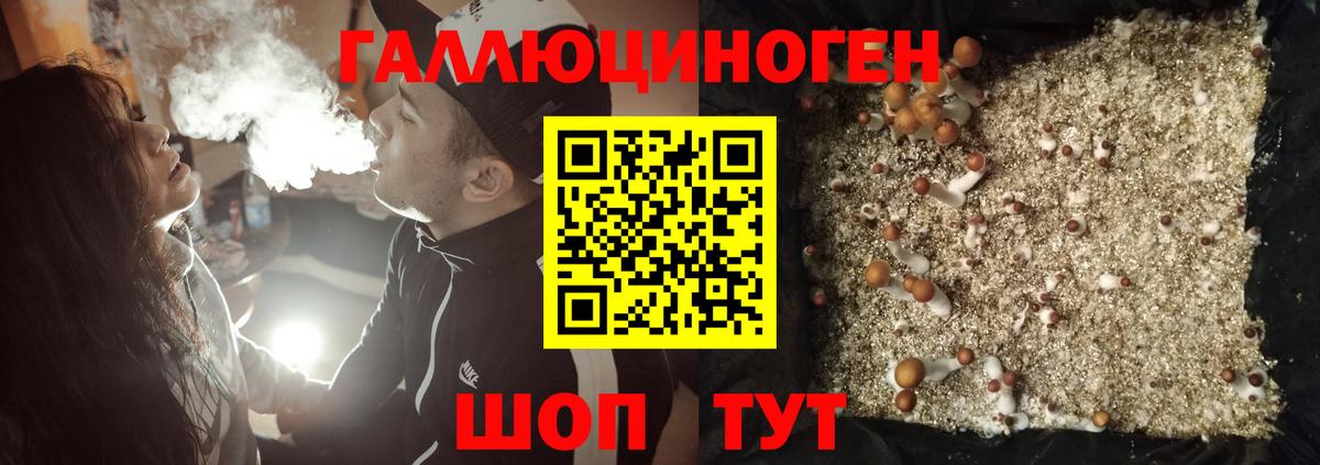 Псилоцибиновые грибы мухоморы Долгопрудный